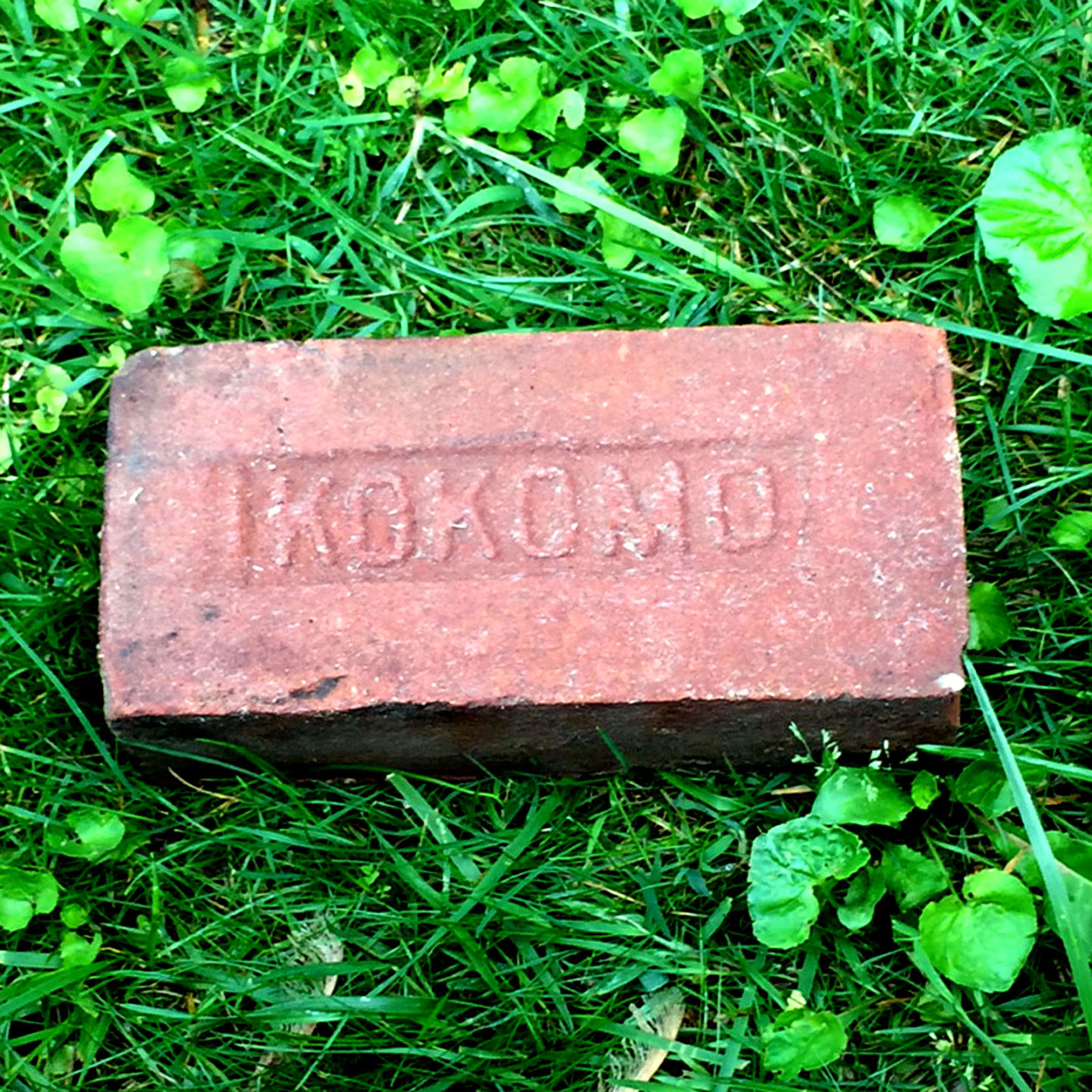 19. Kokomo Bricks
